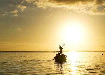 Voyage sur-mesure, Pointe aux Piments