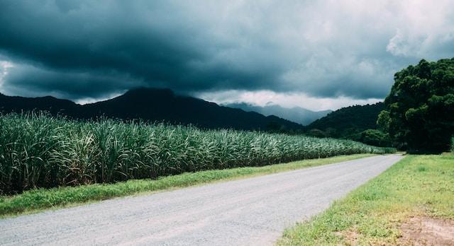 Voyage sur-mesure, QLD - Mossman (Daintree rainforest)