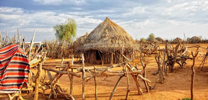 Voyage sur-mesure, Turmi