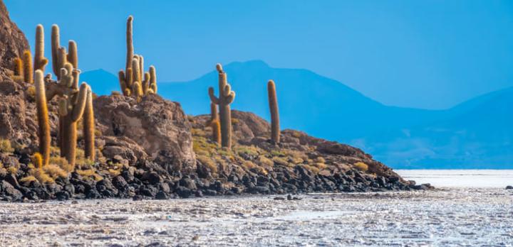 Voyage sur-mesure, Ile du poisson (isla del pescado)