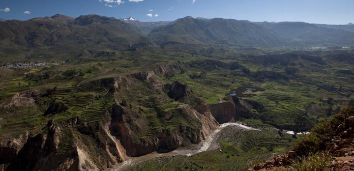 Voyage sur-mesure, Canyon de Colca