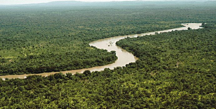 Voyage sur-mesure, Parc National du Niokolo Koba