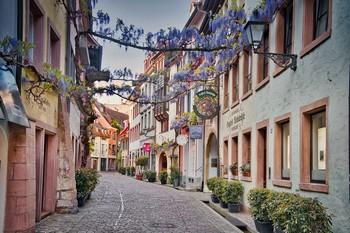 Voyage sur-mesure, Fribourg-en-Brisgau