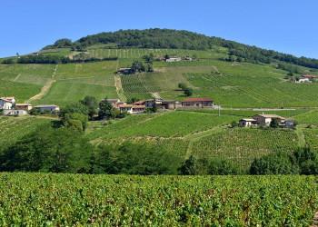 Voyage sur-mesure, Mont Brouilly