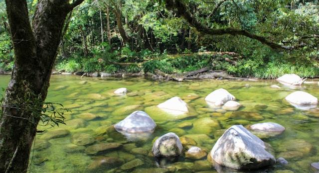 Voyage sur-mesure, QLD - Mossman Gorge (Daintree rainforest)
