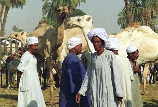 Voyage sur-mesure, Daraw