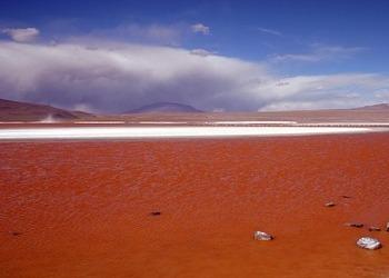 Voyage sur-mesure, Laguna Colorada