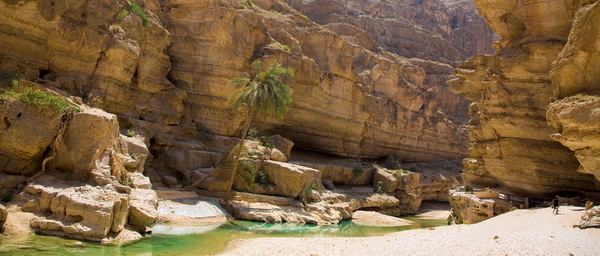 Randonnée et baignade au Wadi Bani Khalid à Oman