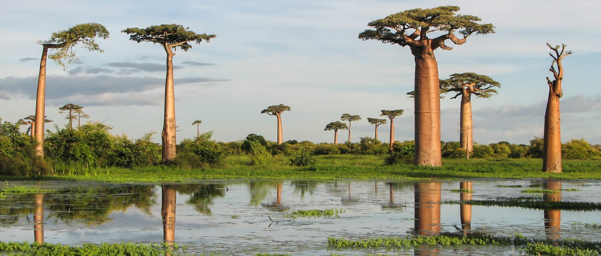 Ghislaine partage avec nous son voyage à Madagascar