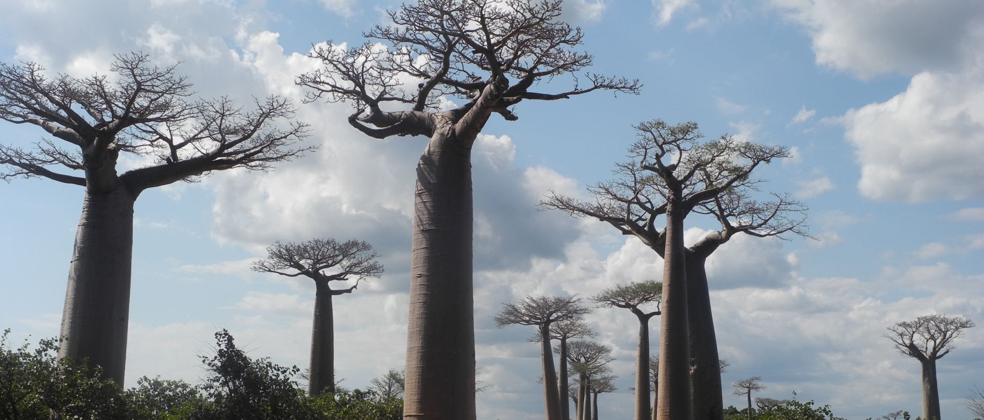 Voyage à Madagascar sous la plume de Gérard