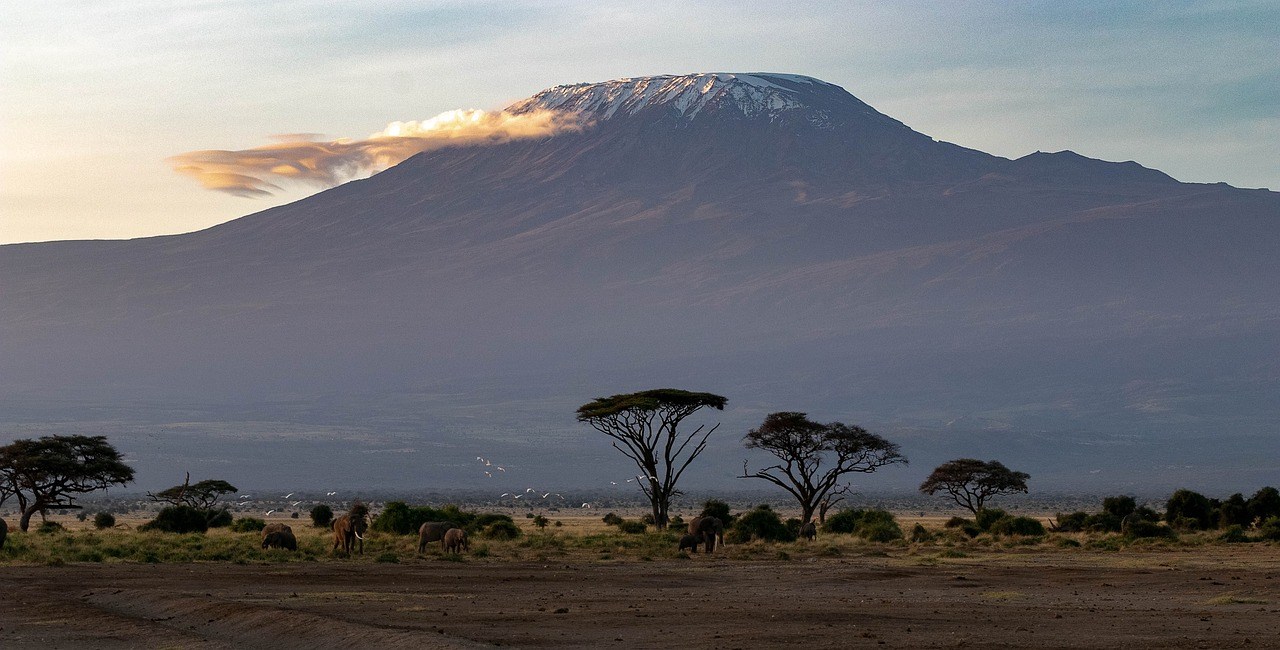 Le Kilimandjaro : vous aussi, grimpez sur le toit de l’Afrique