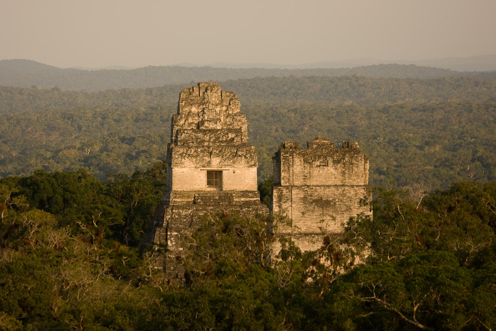 Zoom sur Tikal, cité maya engloutie dans la jungle guatémaltèque