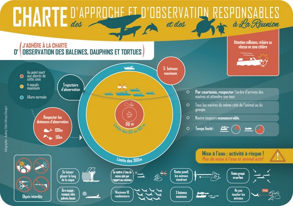 La Réunion - charte approche baleines dauphins tortues.jpg