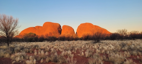 kata tjuta (2) 500.jpg