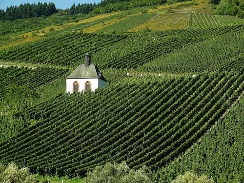 mosel-Chorengel de Pixabay.jpg