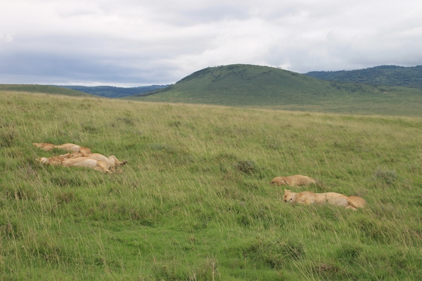 Tanzanie jenniver Lavoura 4 600.JPG