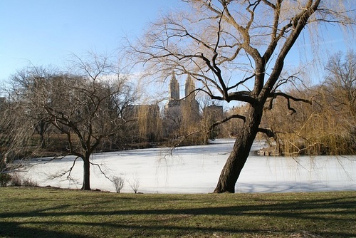 central-park-Sascha W. from Pixabay.jpg