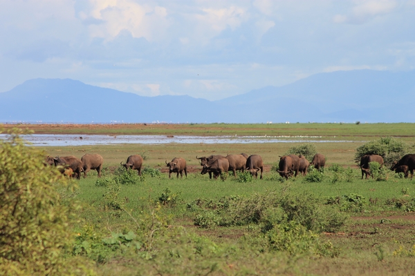 Tanzanie Jennifer Lavoura 600.JPG