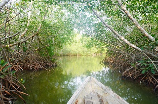 La Boquilla 