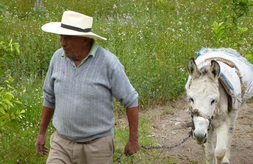 casasdelperu