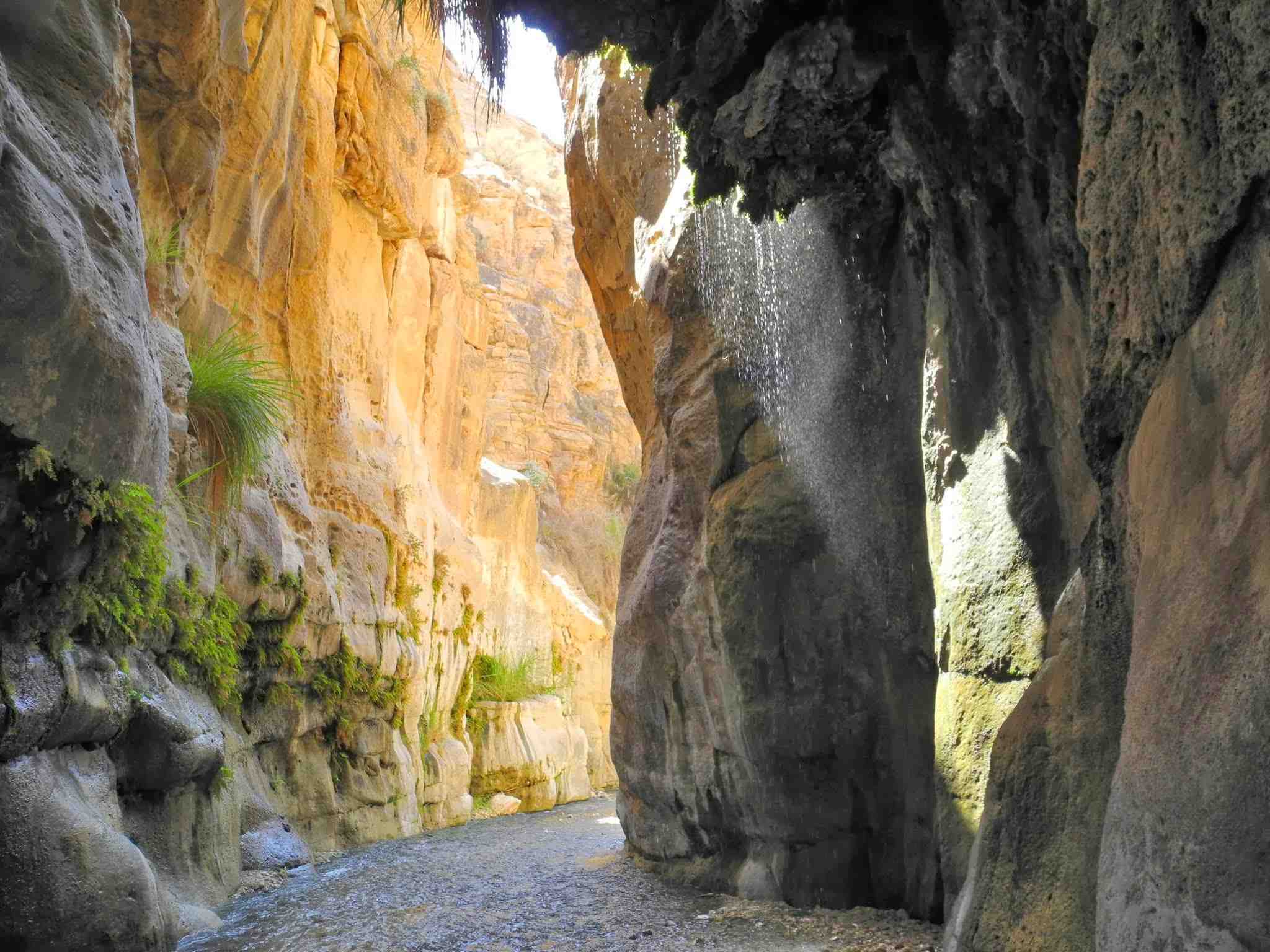 Voyage sur-mesure, Wadi Bin Hammad