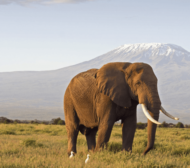 Voyage sur-mesure, Ascension du Kilimandjaro, quelle voie choisir ?