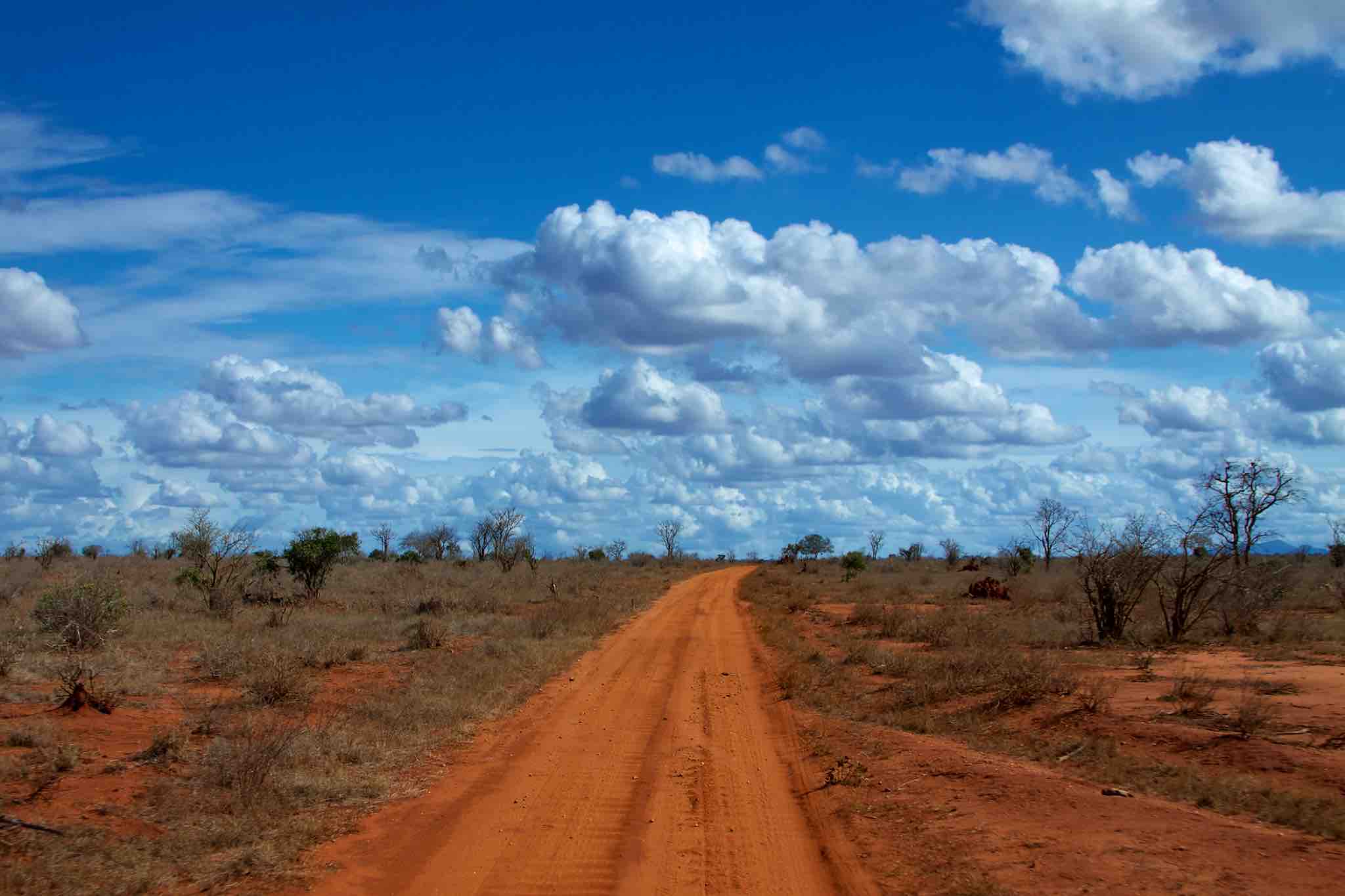 Voyage sur-mesure, Que voir au Kenya ?