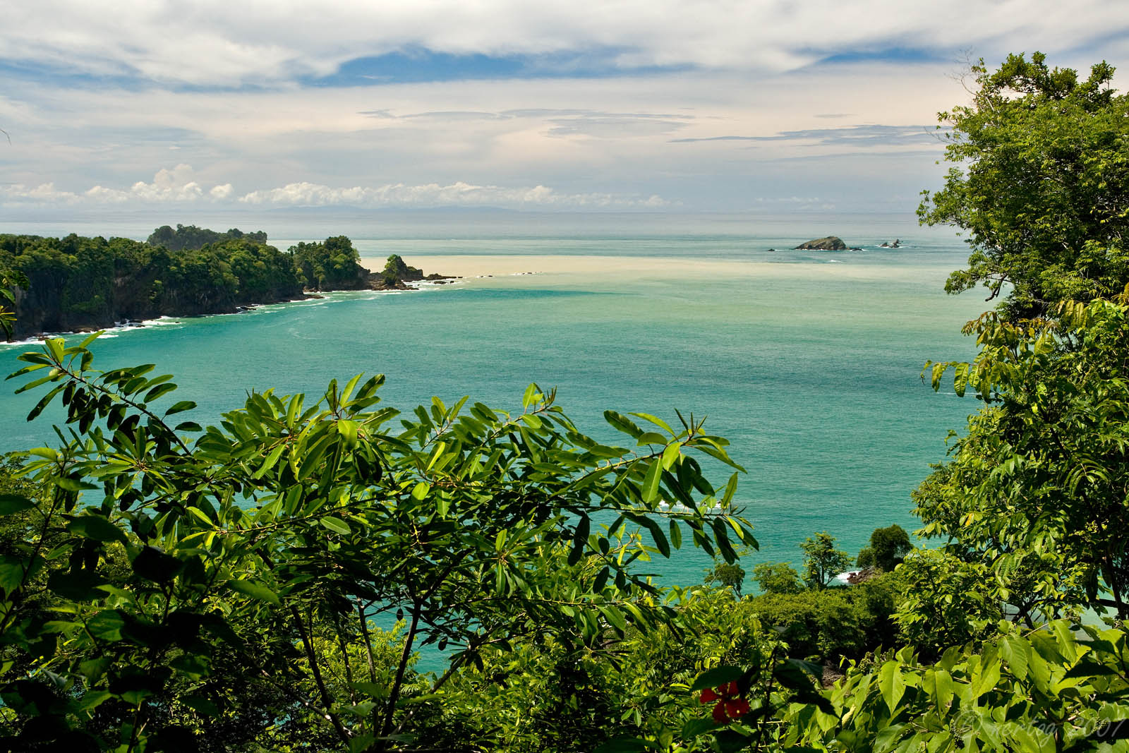 Voyage sur-mesure, Manuel Antonio : Le parc où la jungle rencontre l’océan