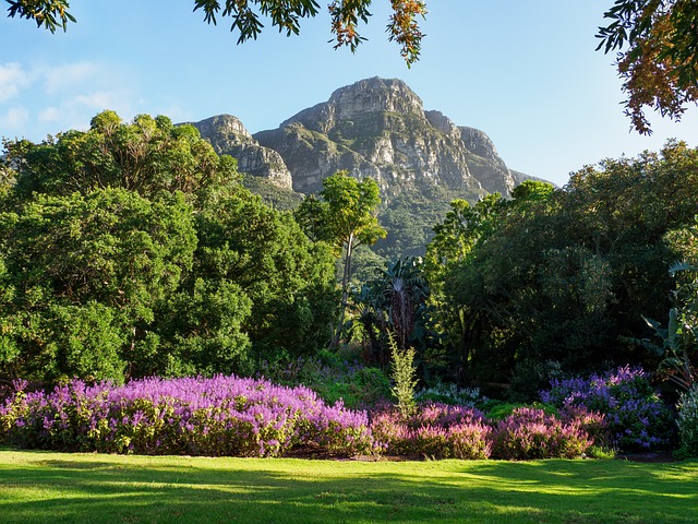 Voyage sur-mesure, Le jardin botanique de Kirstenbosch