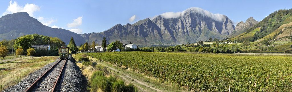 Voyage sur-mesure, Vin