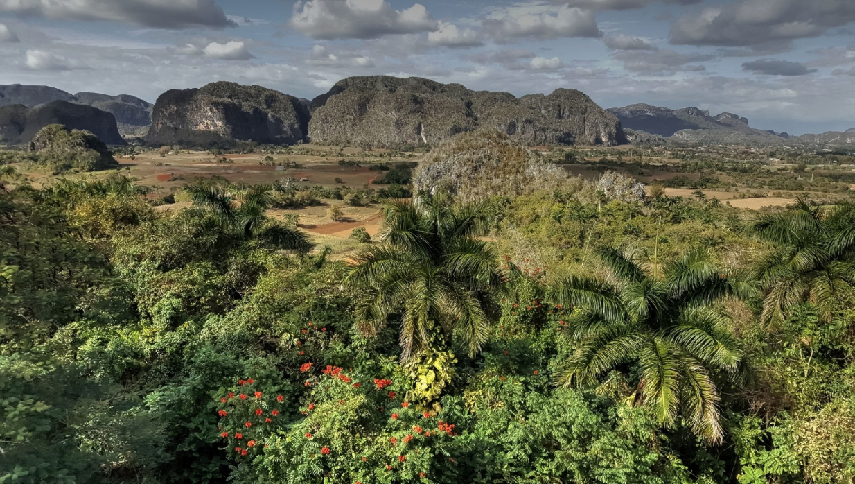 Voyage sur-mesure, Viñales