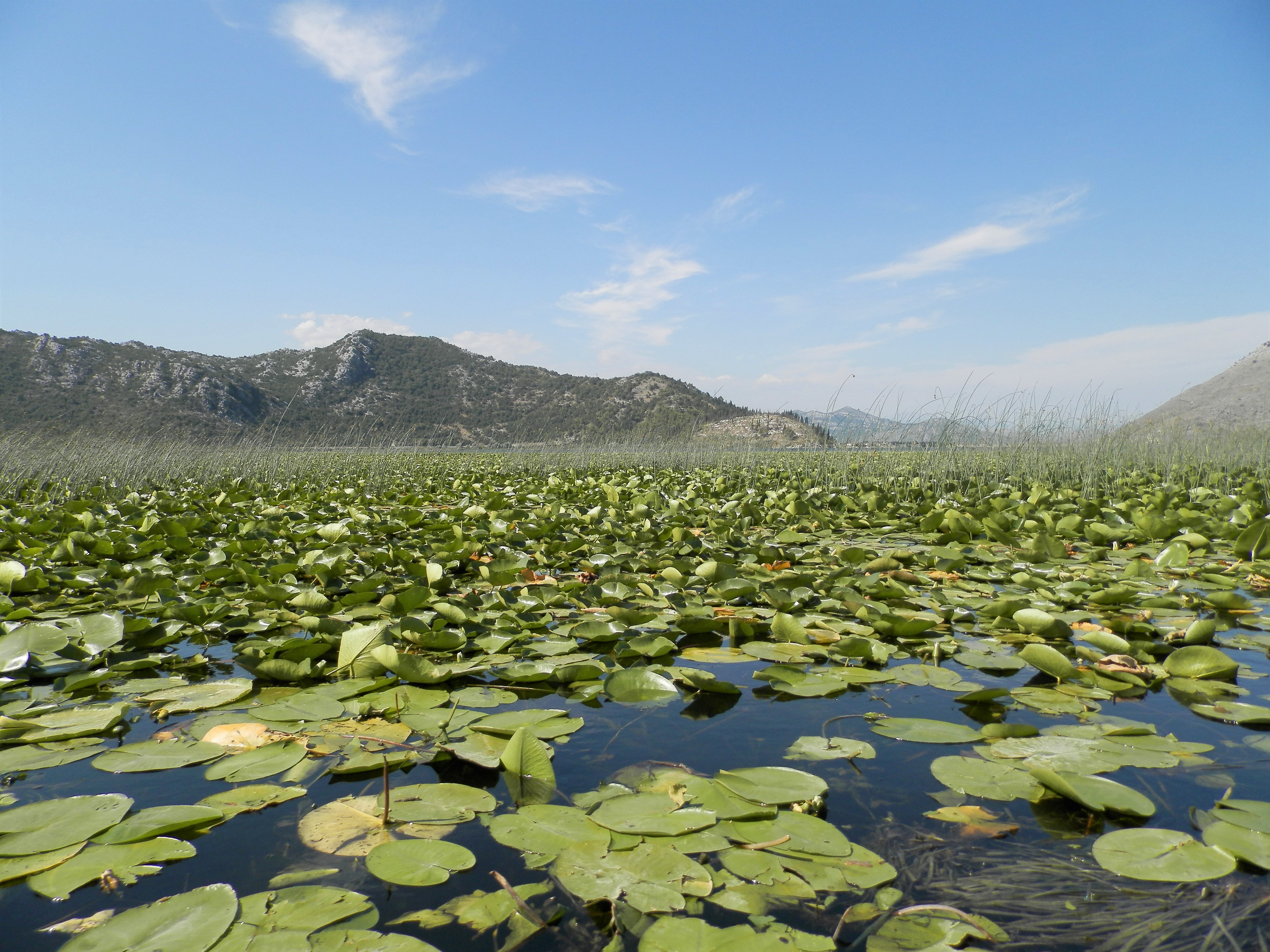 Voyage sur-mesure, Le Lac de Skadar