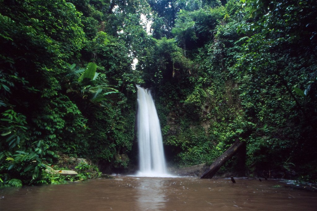 Voyage sur-mesure, A la rencontre des hommes-fleurs sur l’île de Siberut