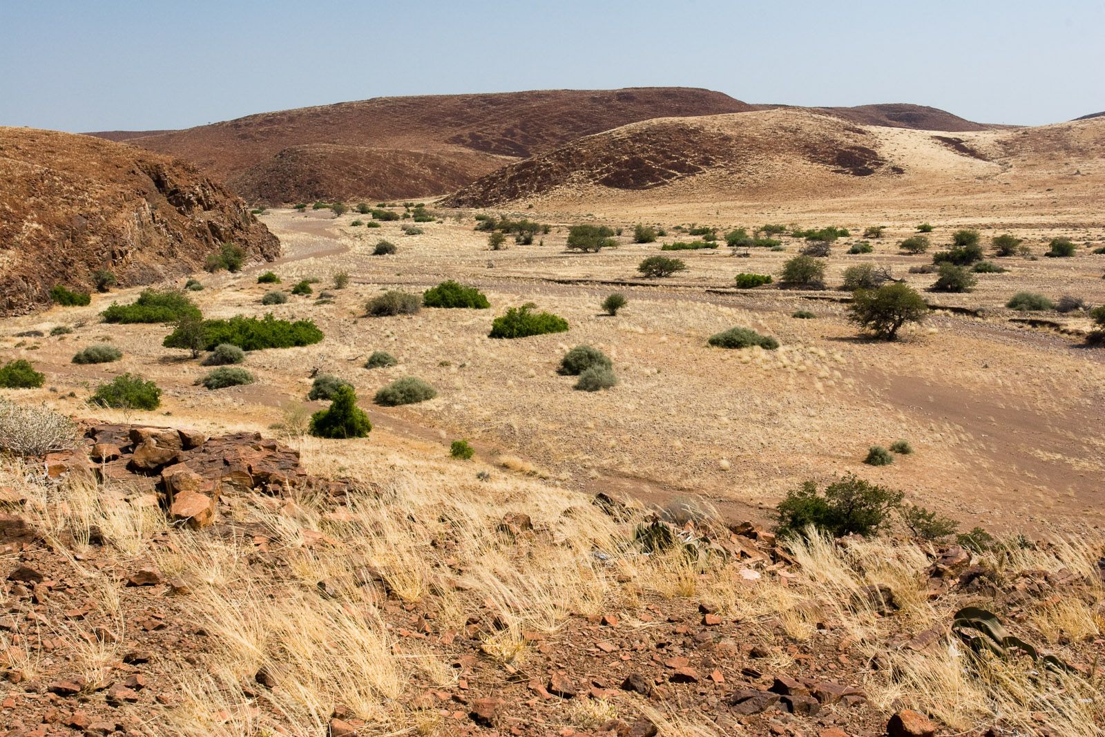 Voyage sur-mesure, Twyfelfontein