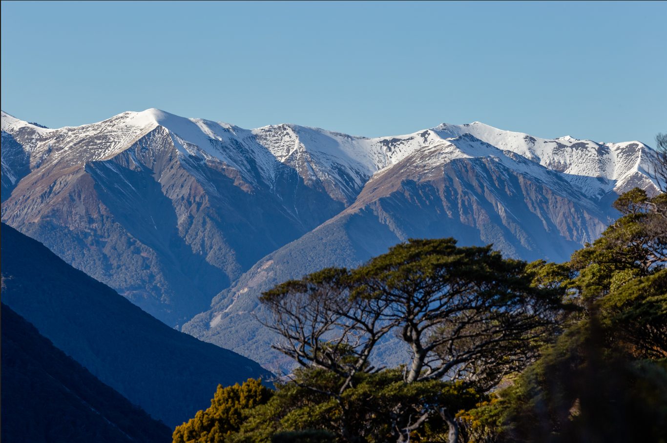 Voyage sur-mesure, Arthur's Pass en train