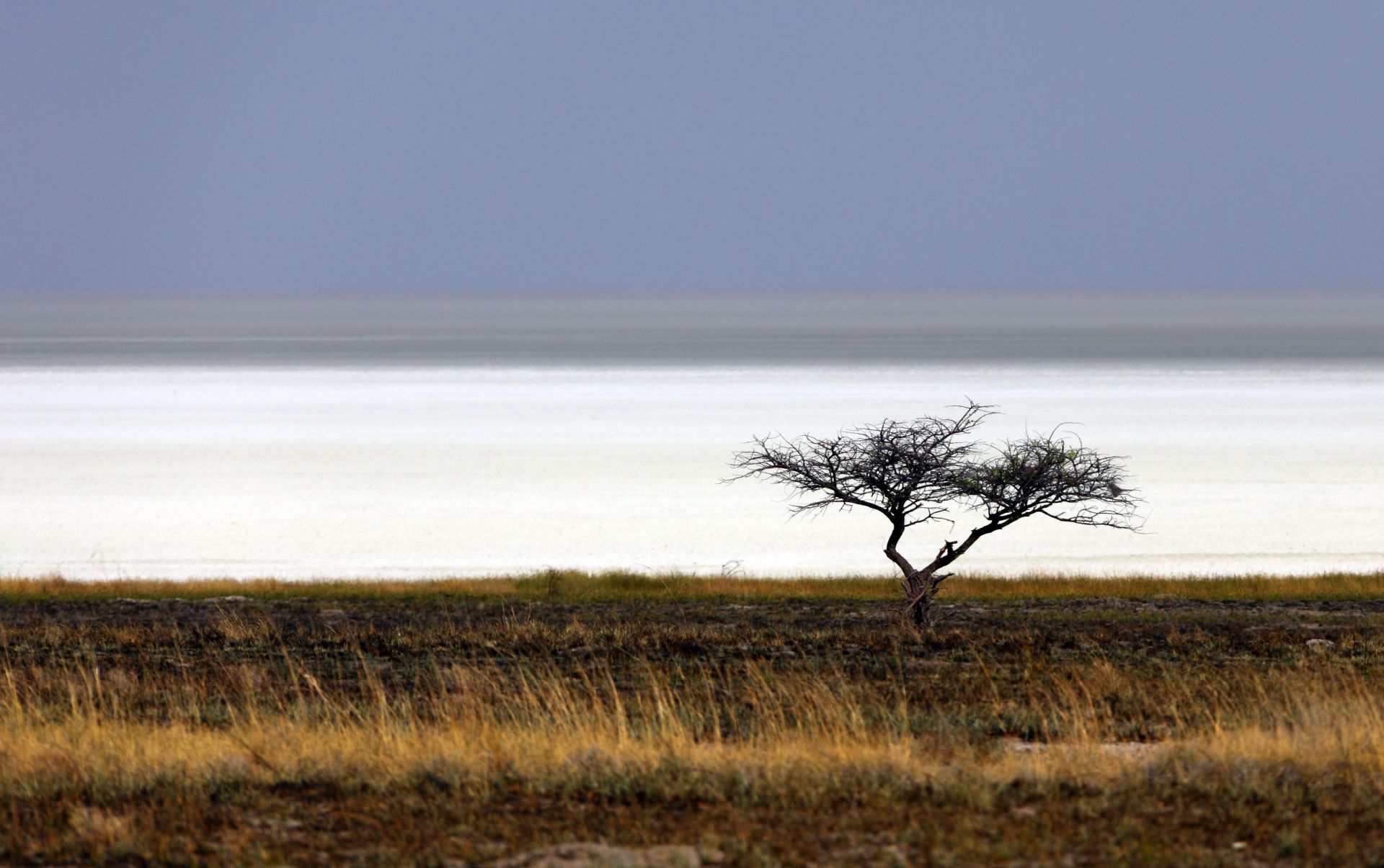 Voyage sur-mesure, Etosha d'Est au Sud