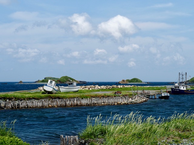 Voyage sur-mesure, Terre-Neuve-et-Labrador
