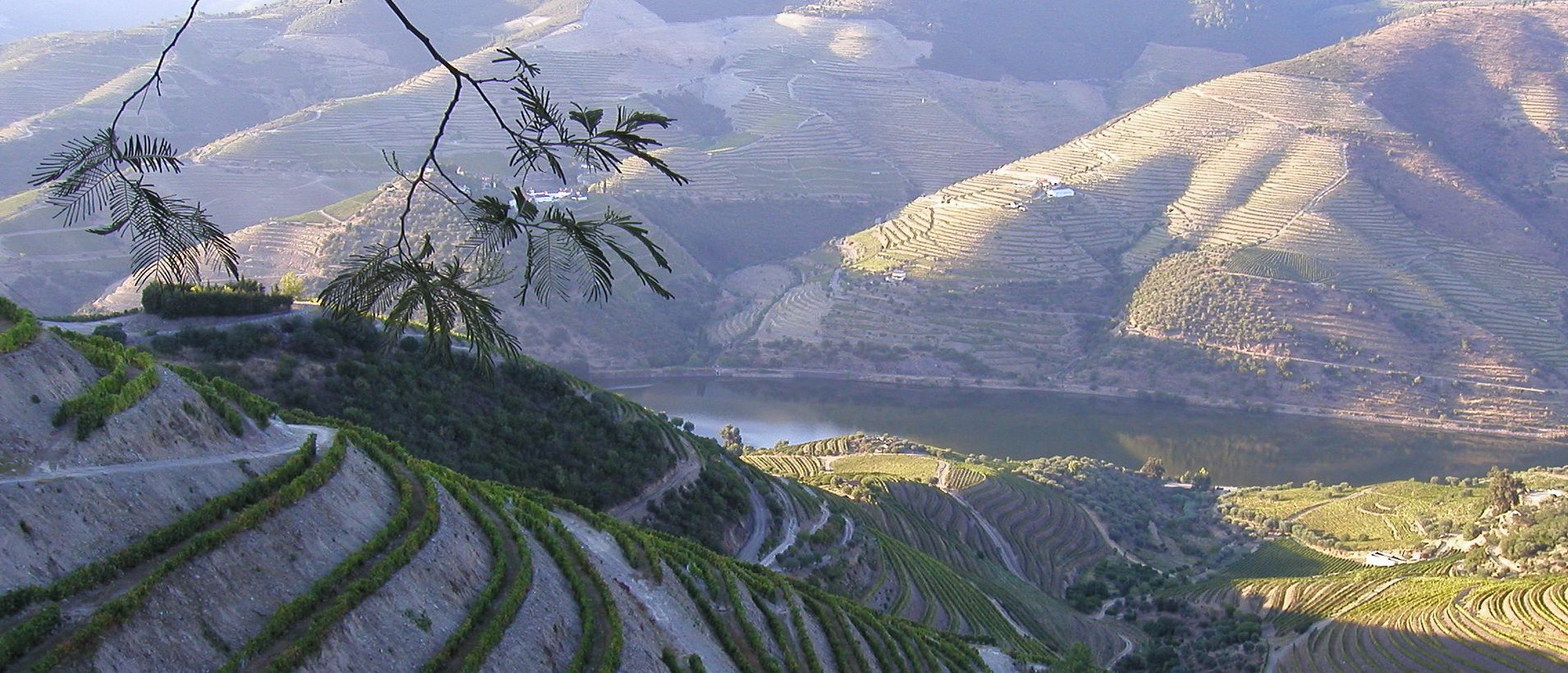 Voyage sur-mesure, Visites de quintas et dégustation de porto