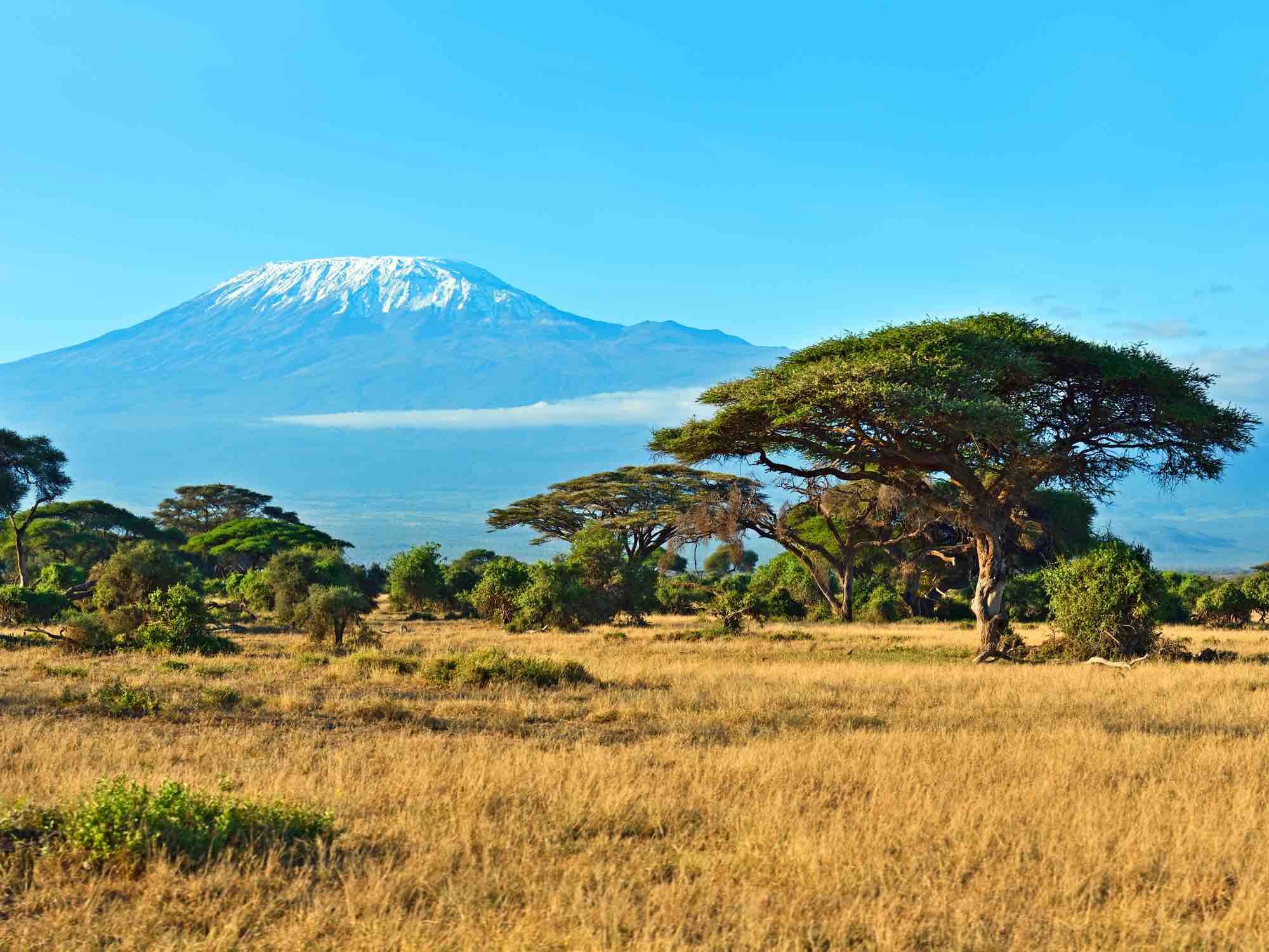 Voyage sur-mesure, L'ascension du Kilimandjaro depuis le Kenya