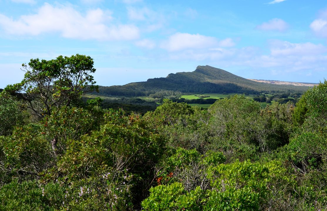 Voyage sur-mesure, Parc naturel Serra de Arrabida : le paradis portugais