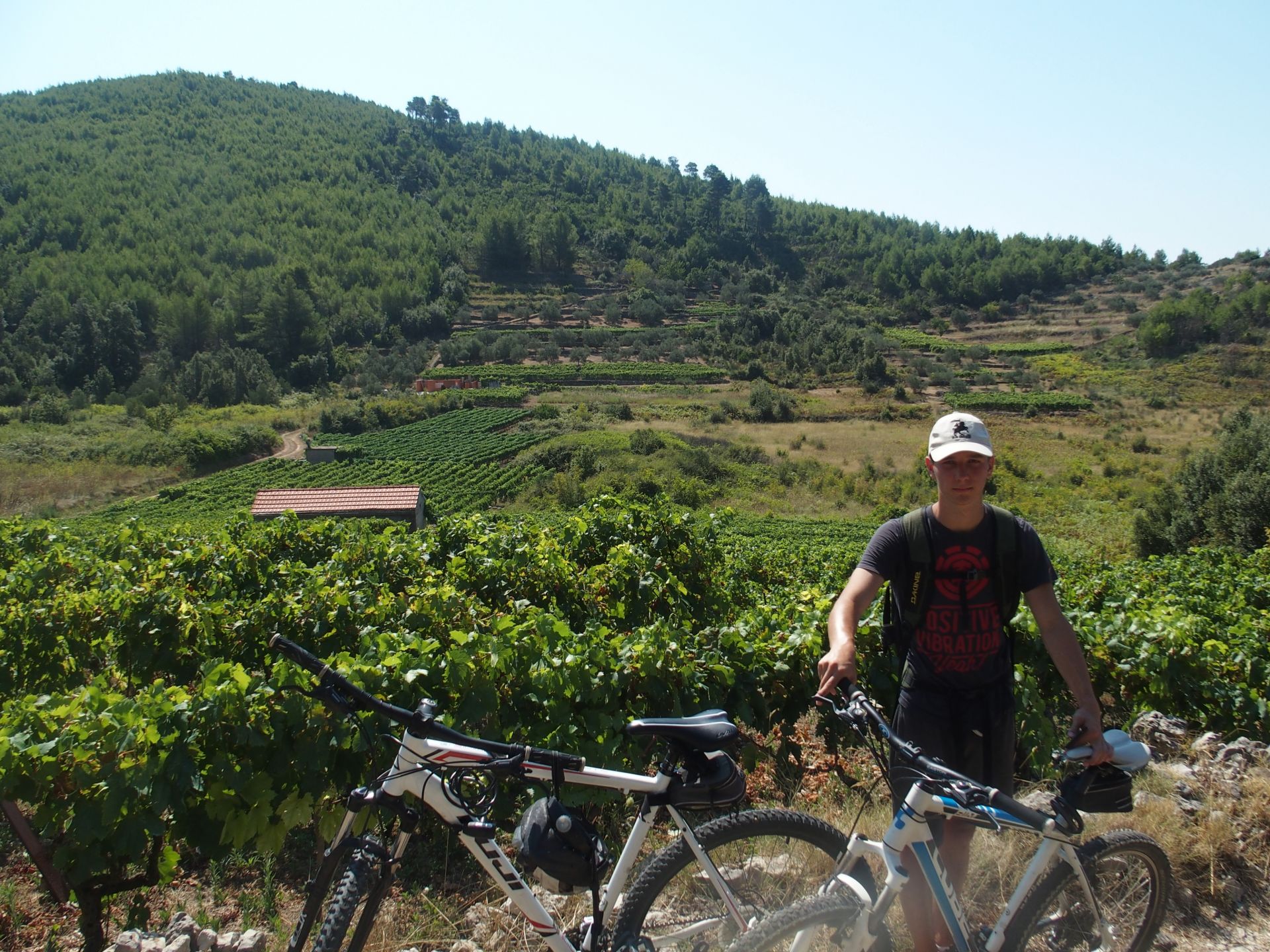 Voyage sur-mesure, Les vignes et cépage GRK
