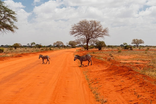 Voyage sur-mesure, Les parcs et les réserves du Sud
