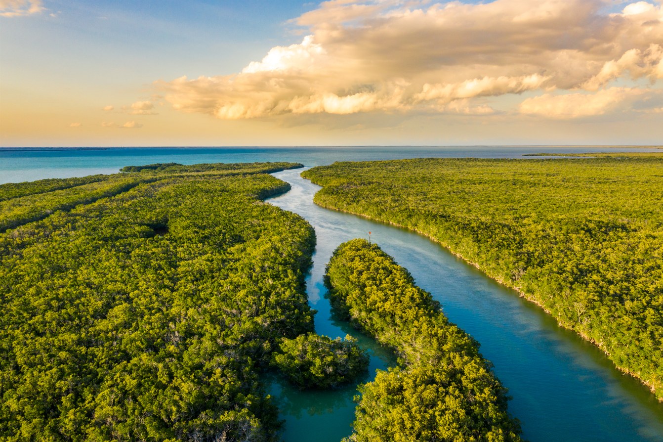 Voyage sur-mesure, Le Parc National des Everglades