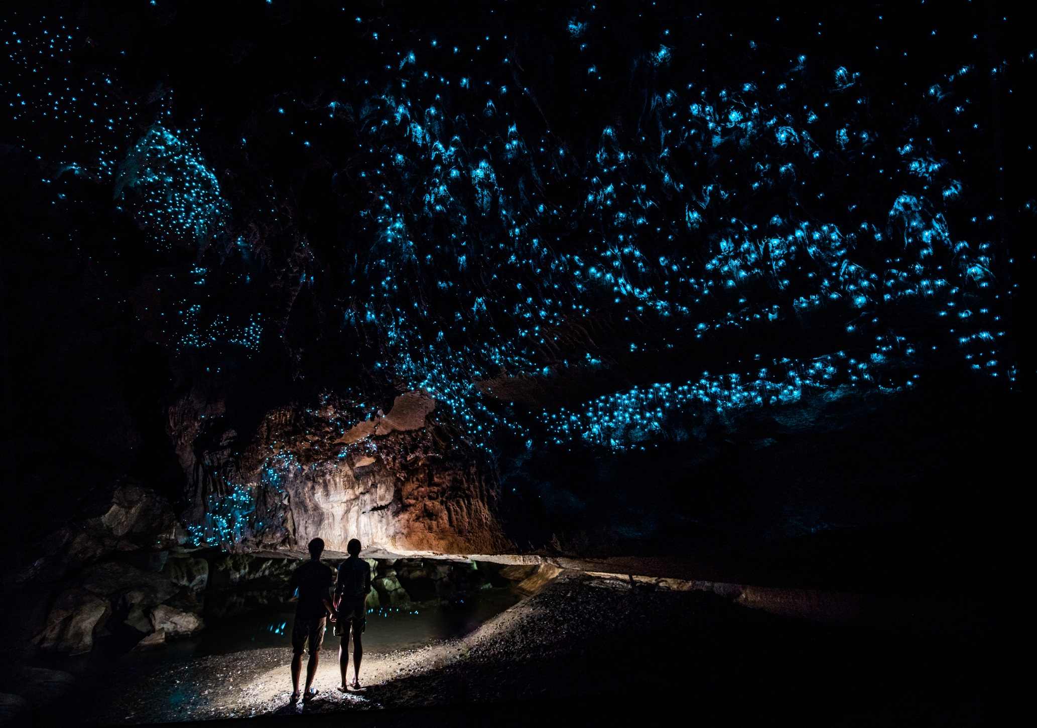 Voyage sur-mesure, Grottes de vers luisants à Waitomo