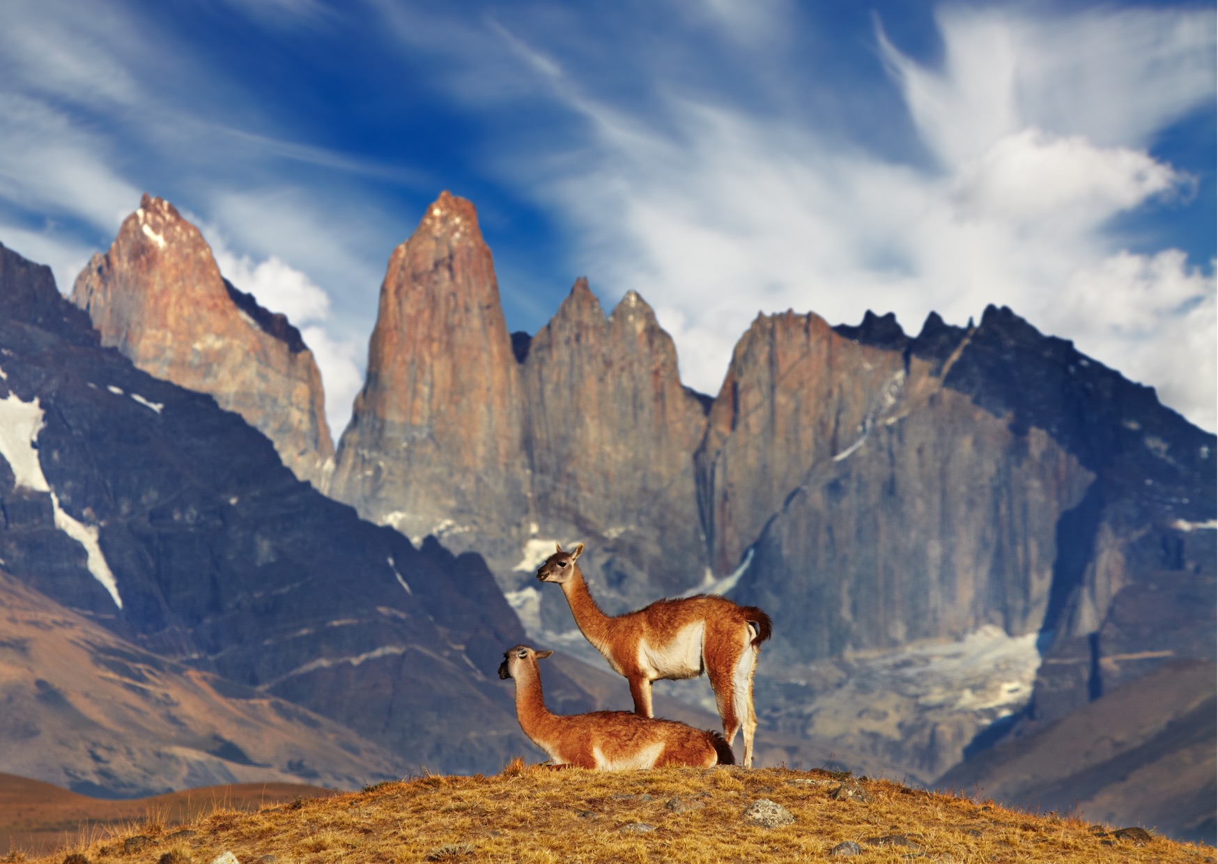 Voyage sur-mesure, Parc national Torres del Paine : une merveille de la Patagonie chilienne