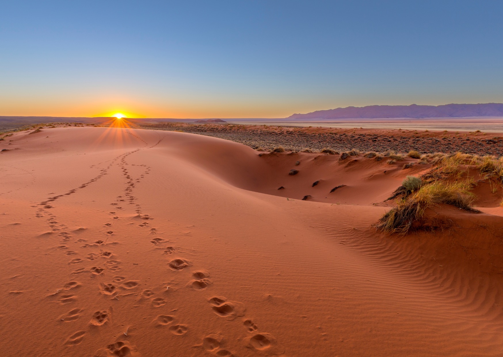 Voyage sur-mesure, Le Kalahari