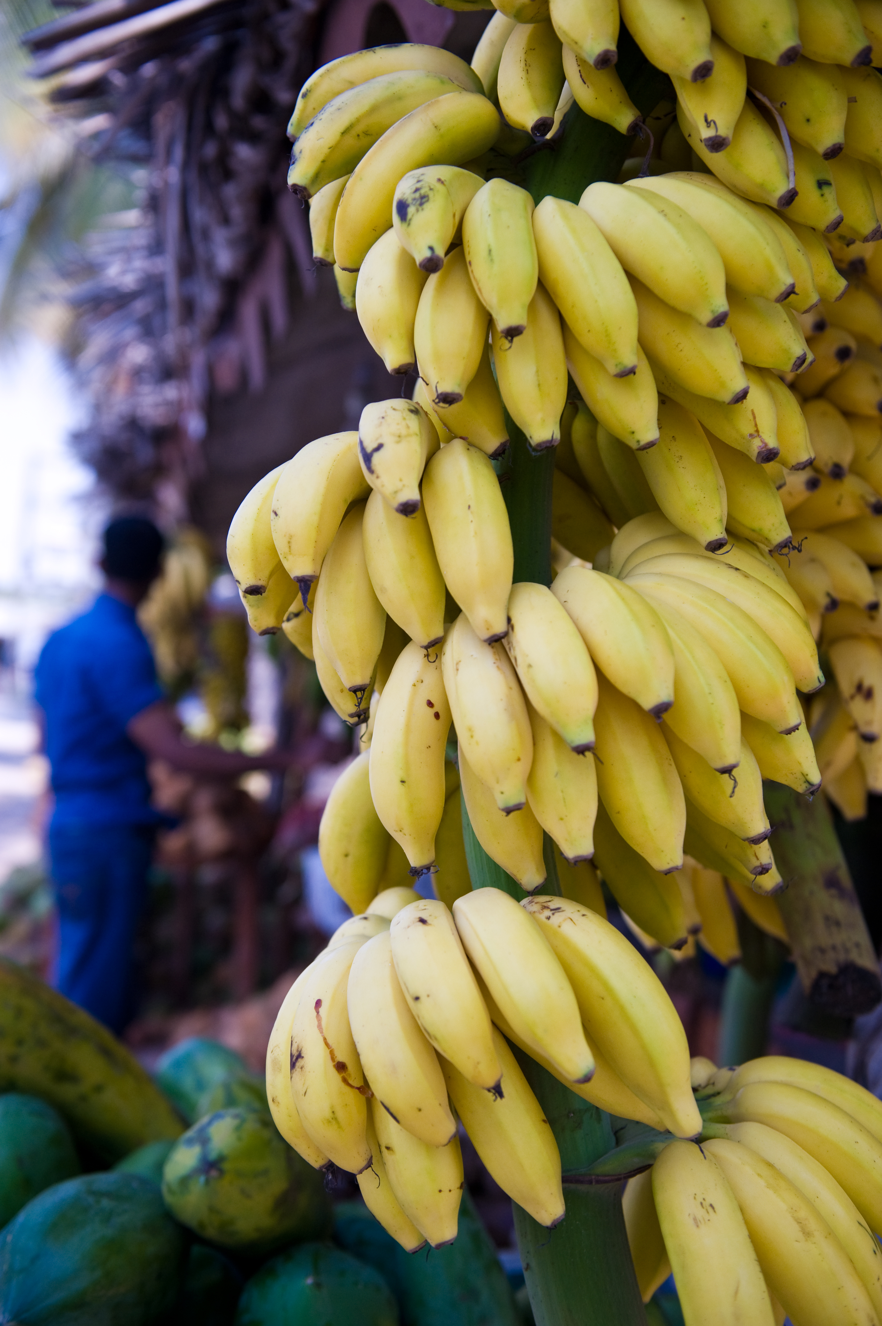 Voyage sur-mesure, Souks et plantations : le Dhofar authentique
