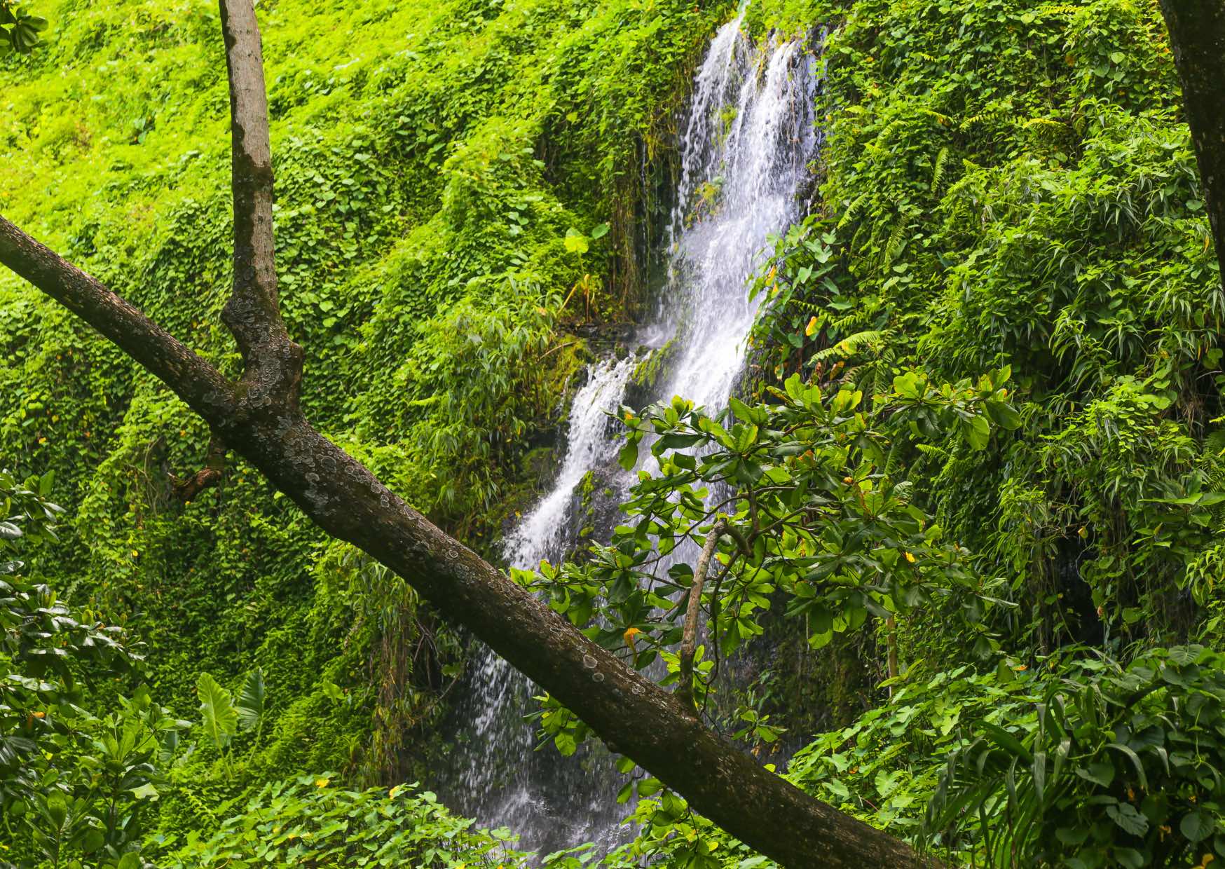Voyage sur-mesure, L'Anse des Cascades à la Réunion