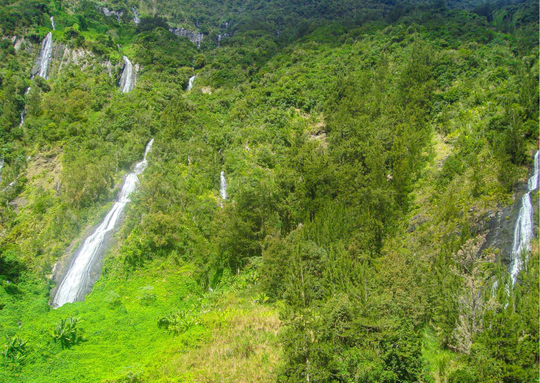 Voyage sur-mesure, Focus sur le Trou de Fer à Salazie