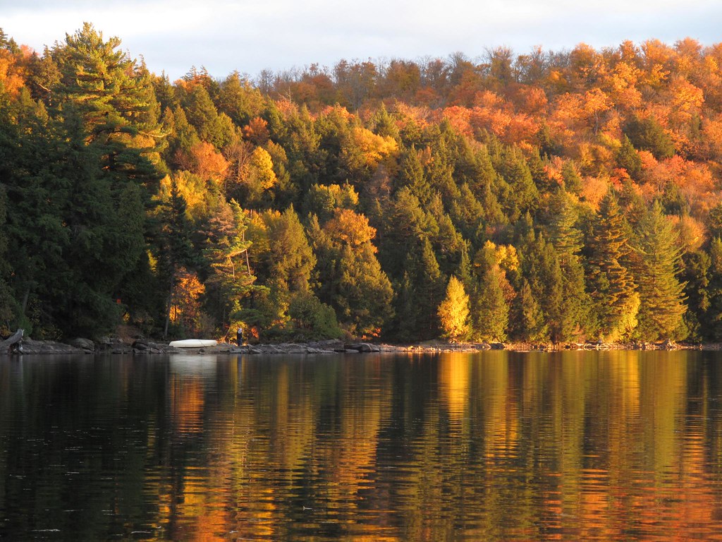 Voyage sur-mesure, Le parc provincial Algonquin